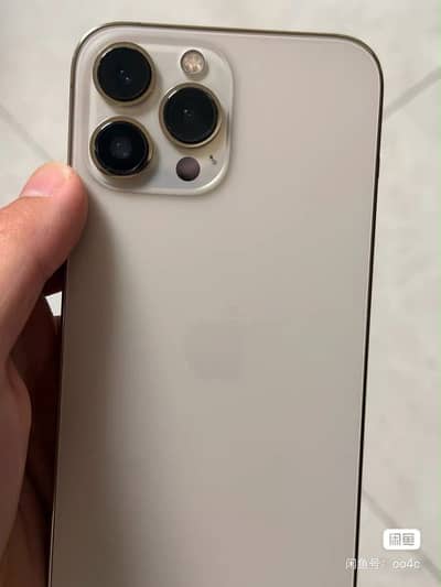 Apple iPhone 13 Pro Max jv