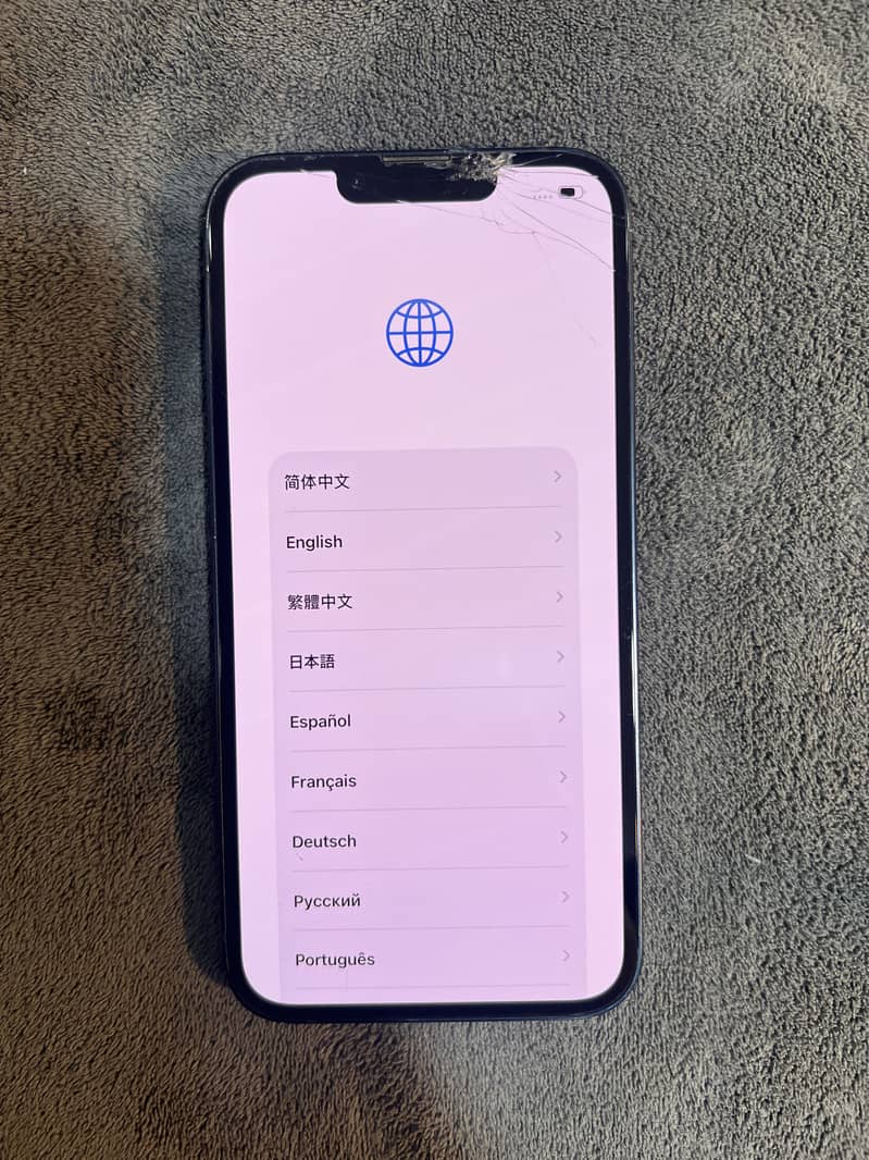 Apple iPhone 13 0