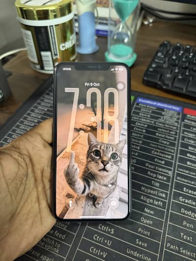 Apple iPhone 11 Pro Max