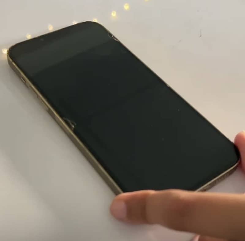 Apple iPhone 13 Pro Max 1