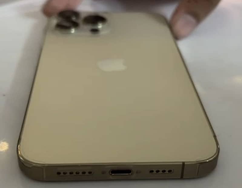 Apple iPhone 13 Pro Max 2