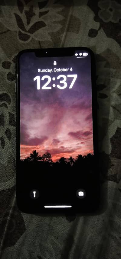 Apple iPhone X