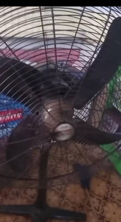 GFC pedestal fan