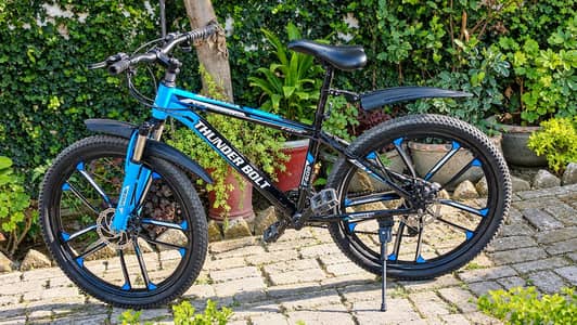 Mountain Bicycle