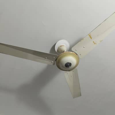 Ceiling Fan of GFC available for sale in excellent condition