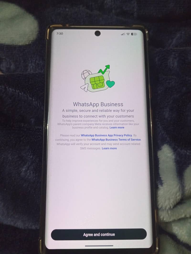 Google Pixel 6 Pro 2