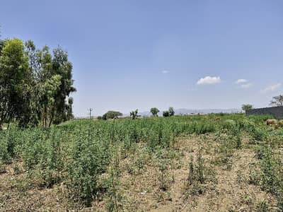 100 Kanal Industrial Land Available For Rent