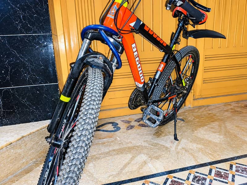 MOUNTAIN BICYCLE 1