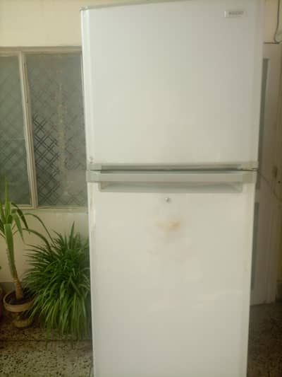 Full Size Orient Fridge