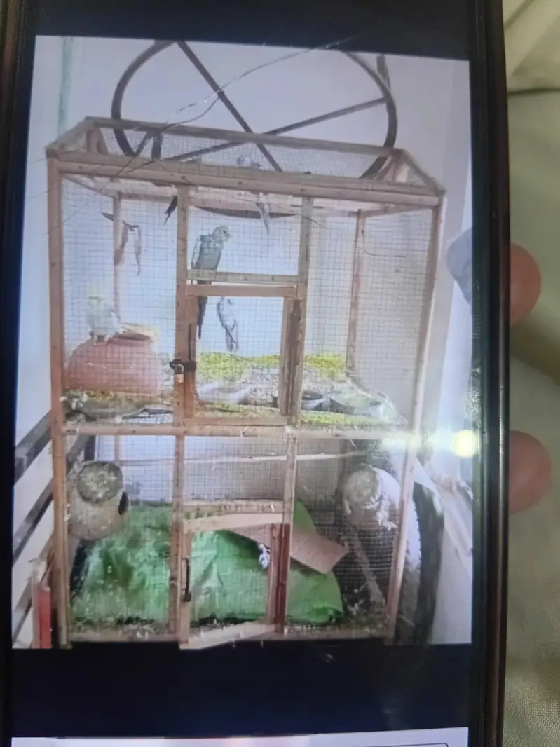 Cage Large Size — photo 2