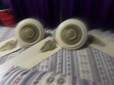 fans for sale