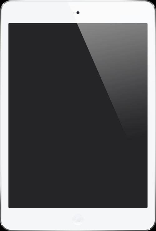 Ipad Mini 1st generation 0