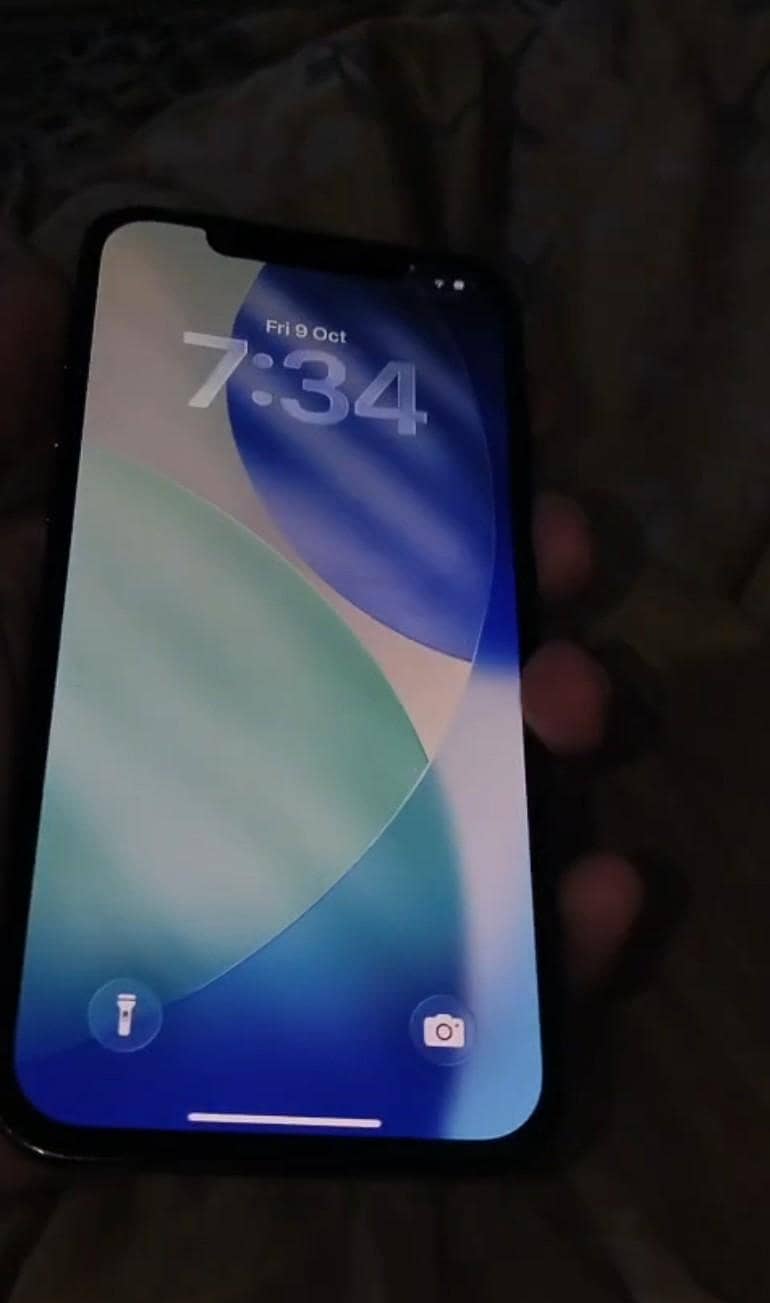 Apple iPhone 12 Pro Max 1