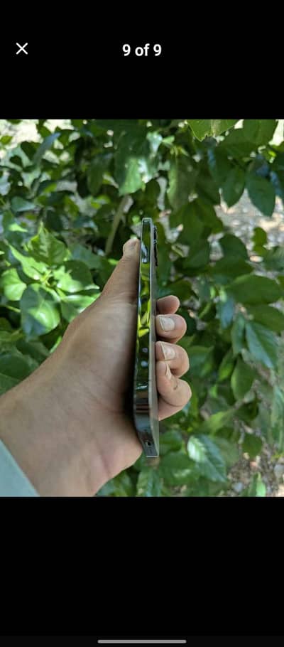 Apple iPhone 12 Pro Max