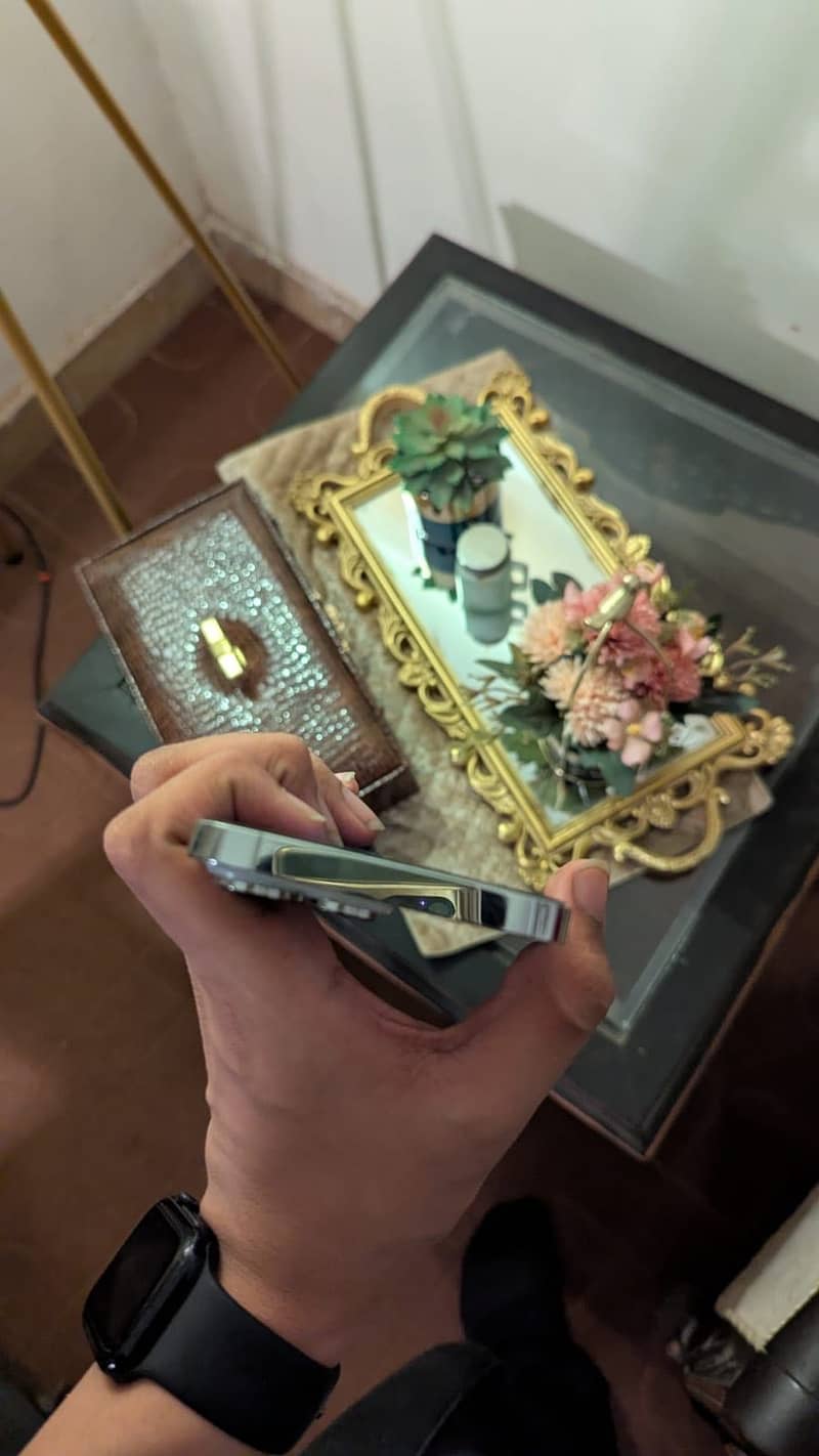 Apple iPhone 14 Pro Max 3