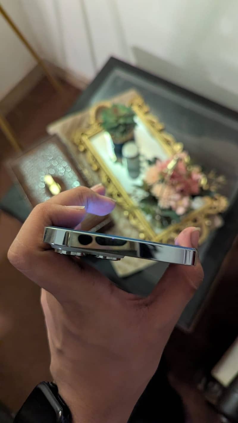Apple iPhone 14 Pro Max 4