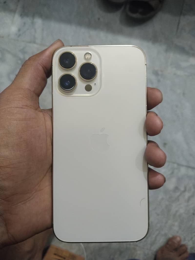 Apple iPhone 13 Pro Max 0