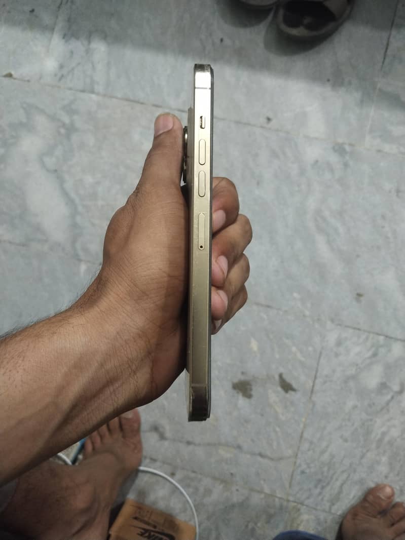 Apple iPhone 13 Pro Max 2