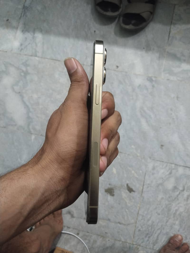 Apple iPhone 13 Pro Max 3
