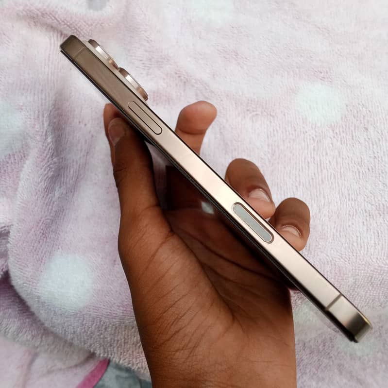 Apple iPhone 16 Pro Max 1