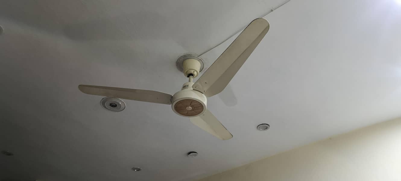 Pak Fan 1
