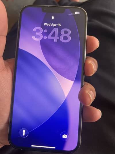 Apple iPhone 13 Pro Max
