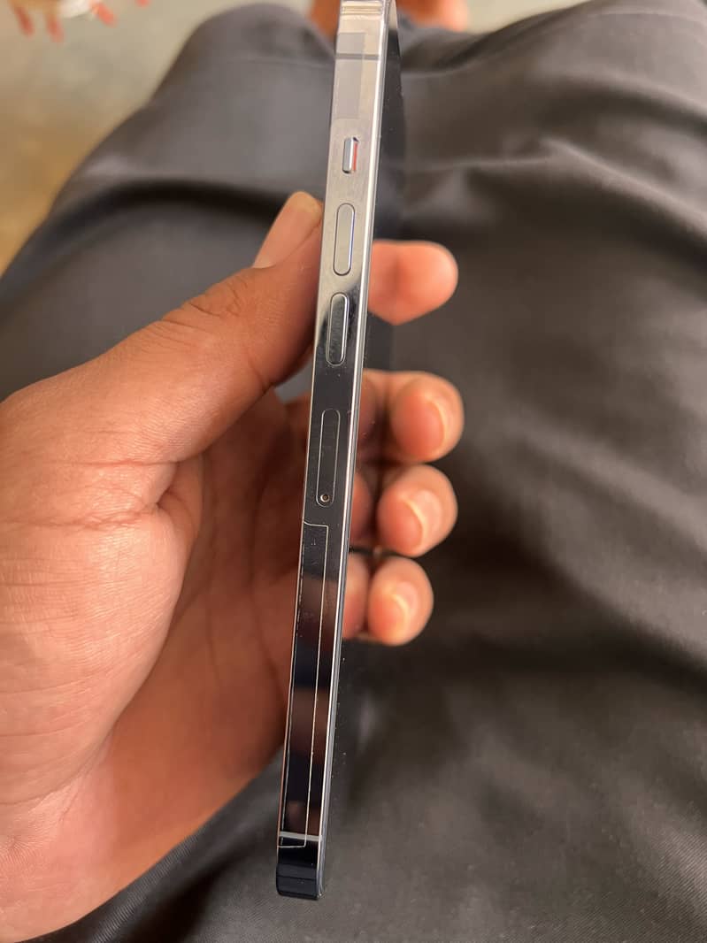 Apple iPhone 13 Pro Max 2