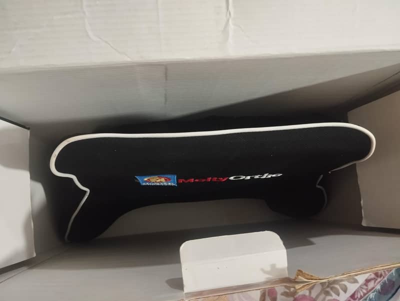 lumber support cushion 1
