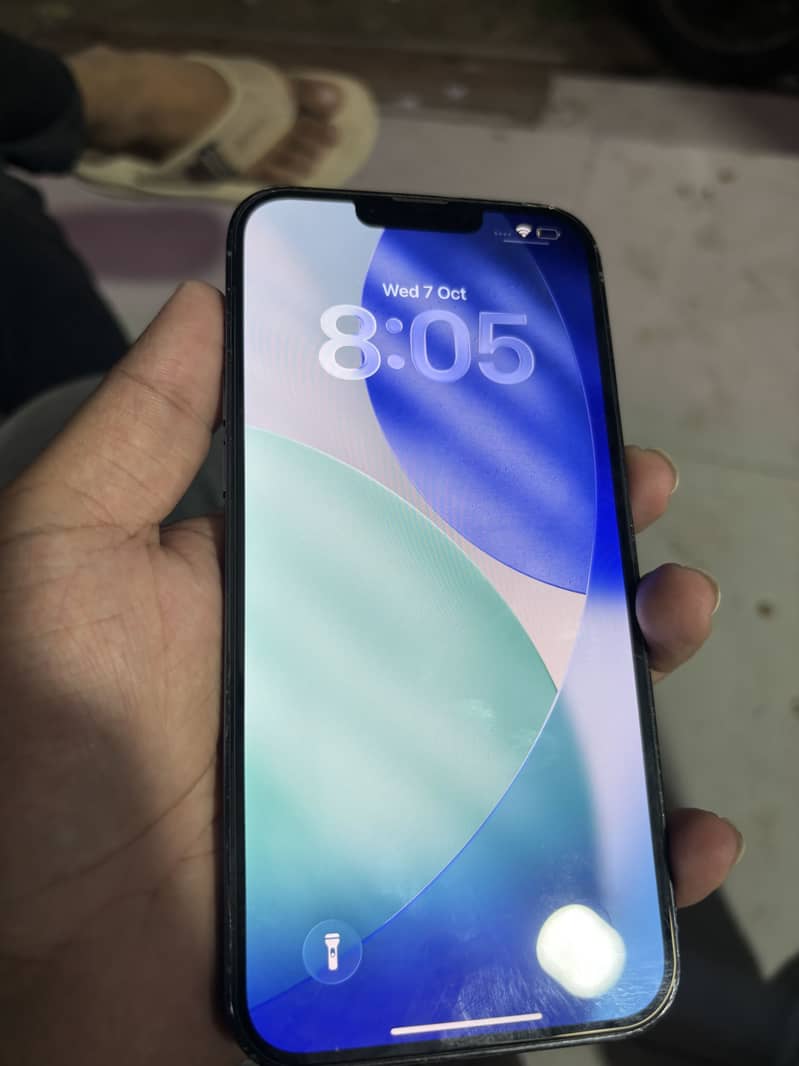 Apple iPhone 13 Pro Max 1