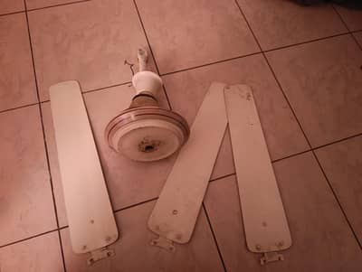 ceiling fan
