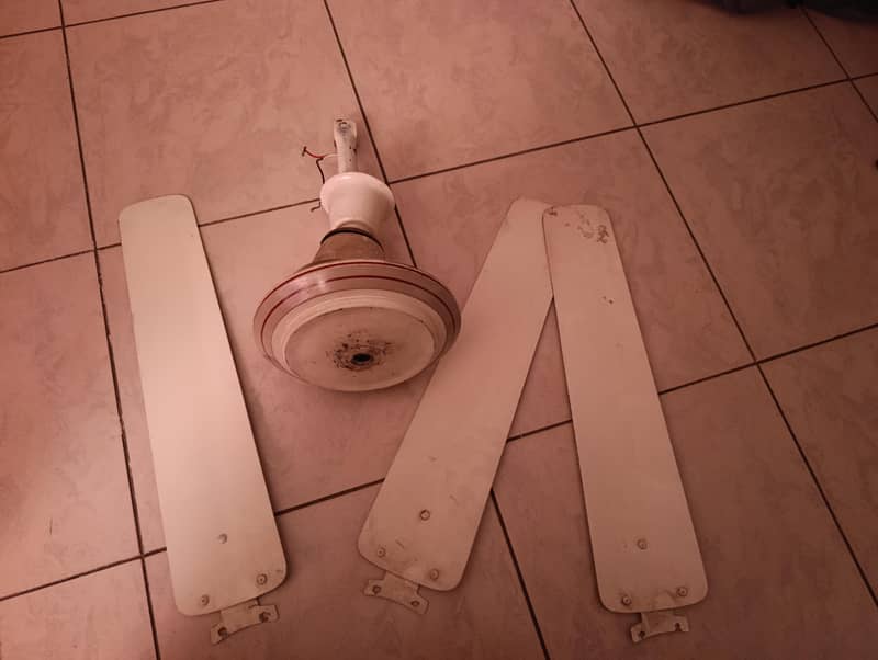 ceiling fan 0