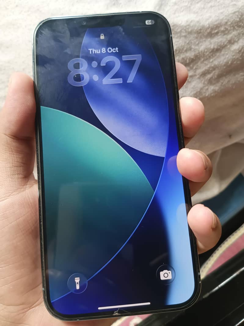 Apple iPhone 13 Pro Max 1