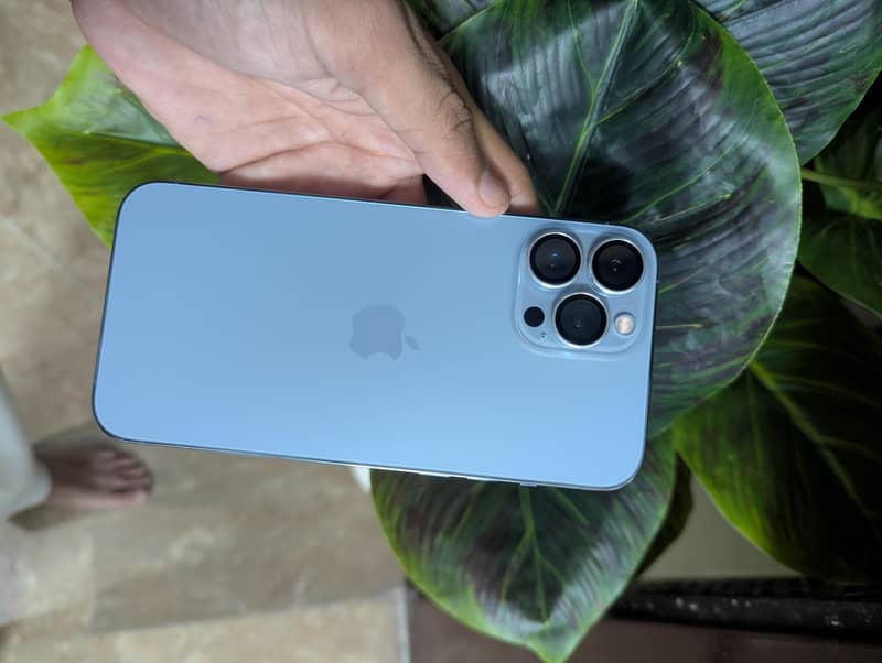 Apple iPhone 13 Pro Max 0
