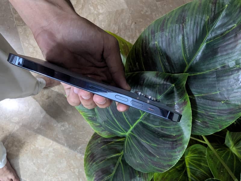 Apple iPhone 13 Pro Max 2