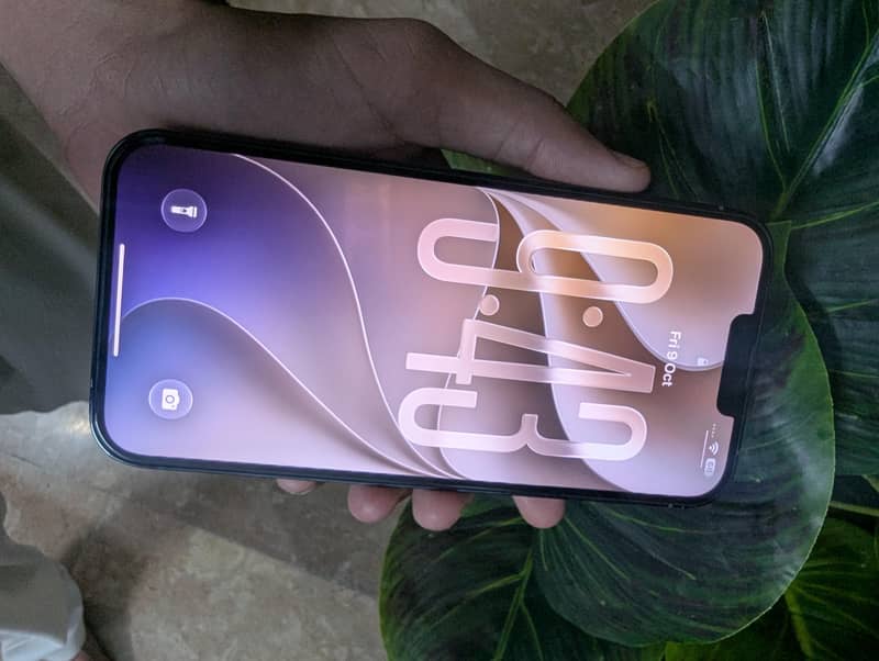 Apple iPhone 13 Pro Max 3