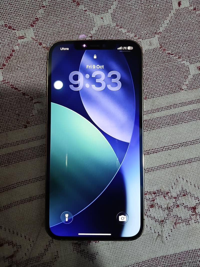 Apple iPhone 12 Pro Max 1