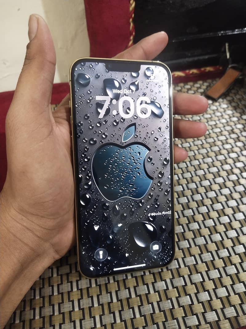Apple iPhone 13 Pro Max 3