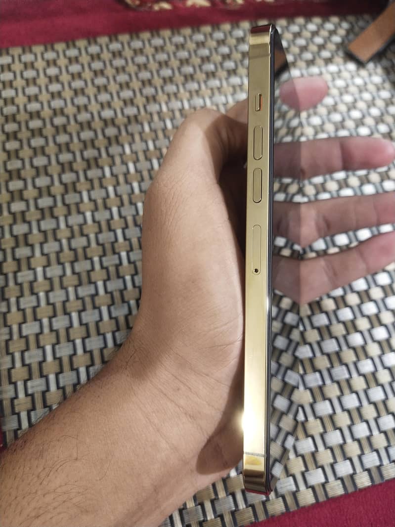 Apple iPhone 13 Pro Max 7
