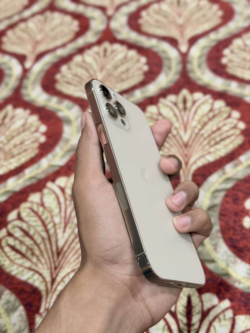Apple iPhone 12 Pro Max 1