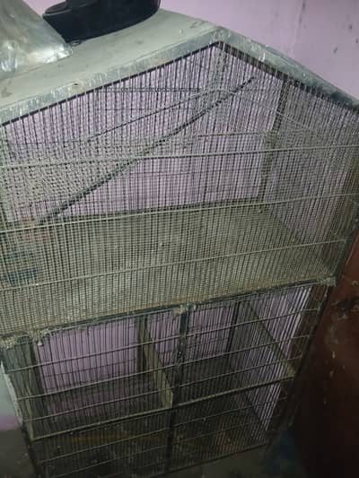 Birds Cage