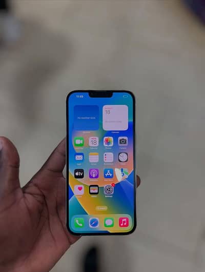 Apple iPhone 13
