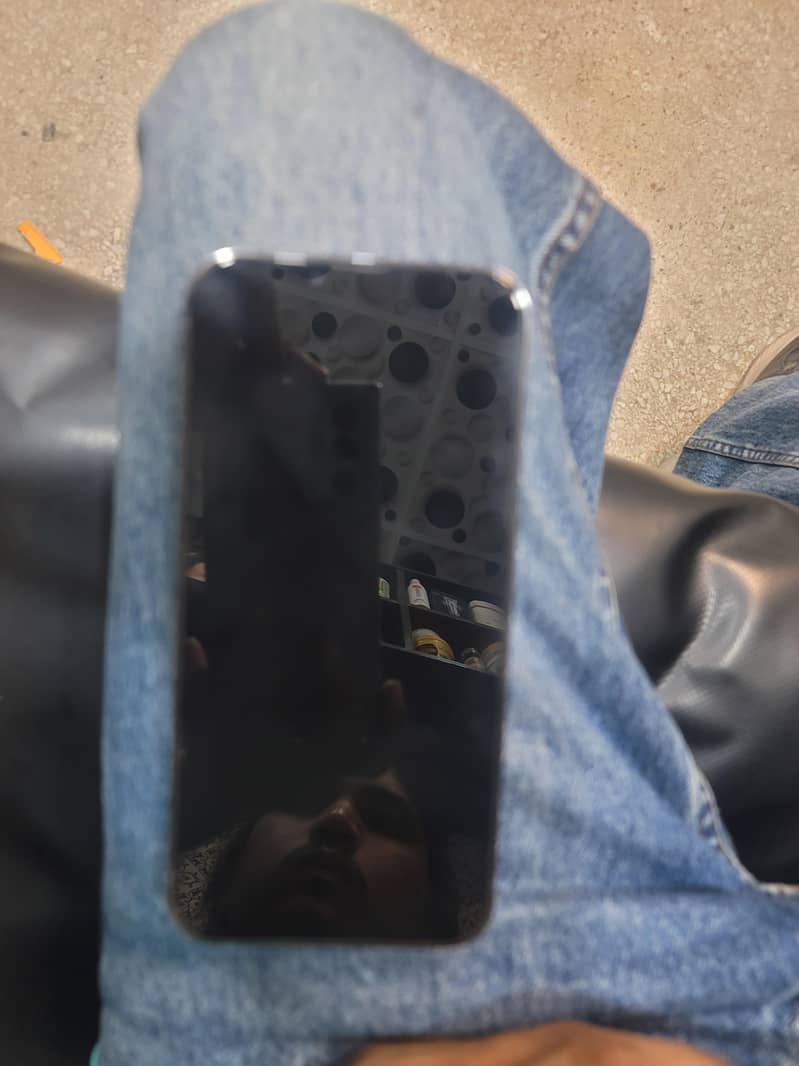 Apple iPhone 13 Pro Max 3