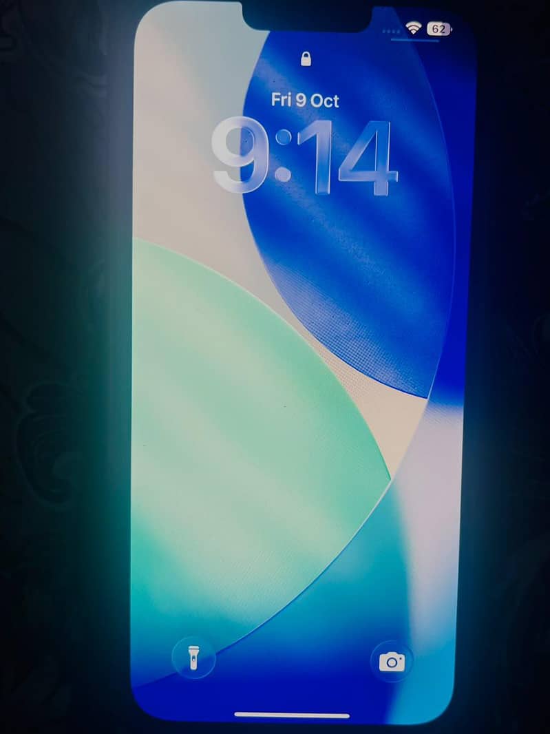 Apple iPhone 13 Pro Max 1
