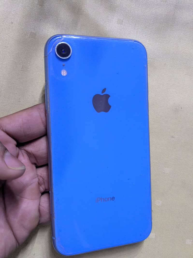 iphone XR 6