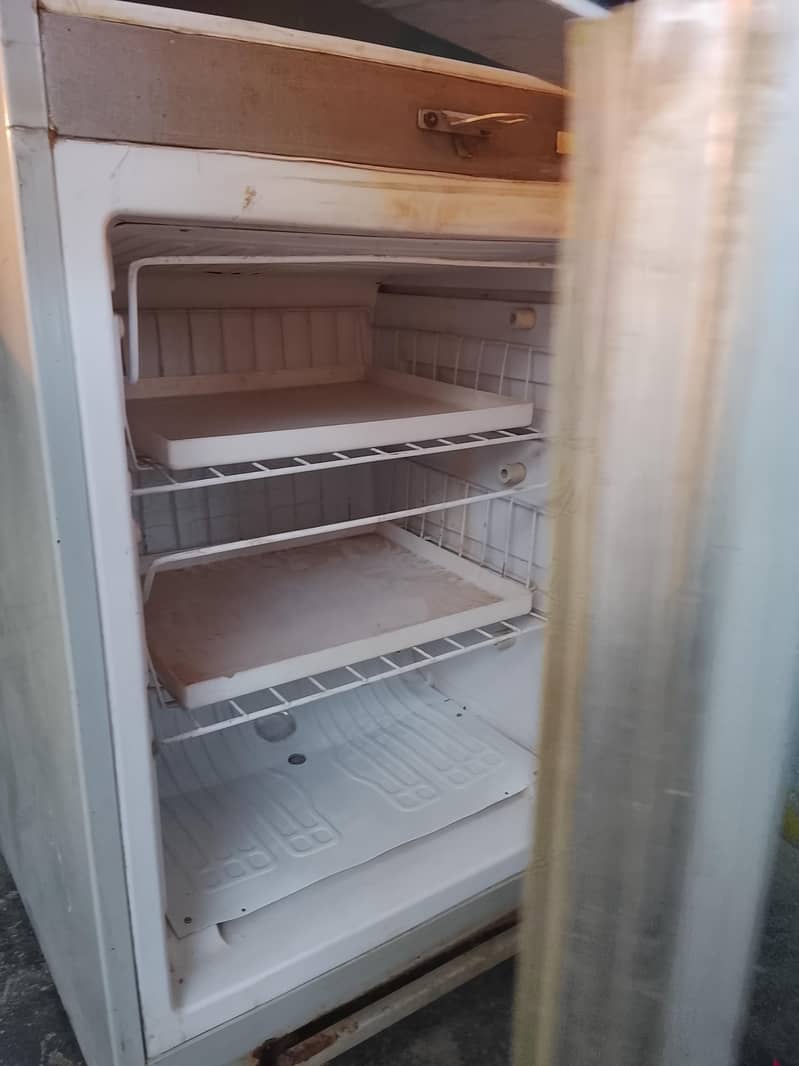 Waves Fridge 1