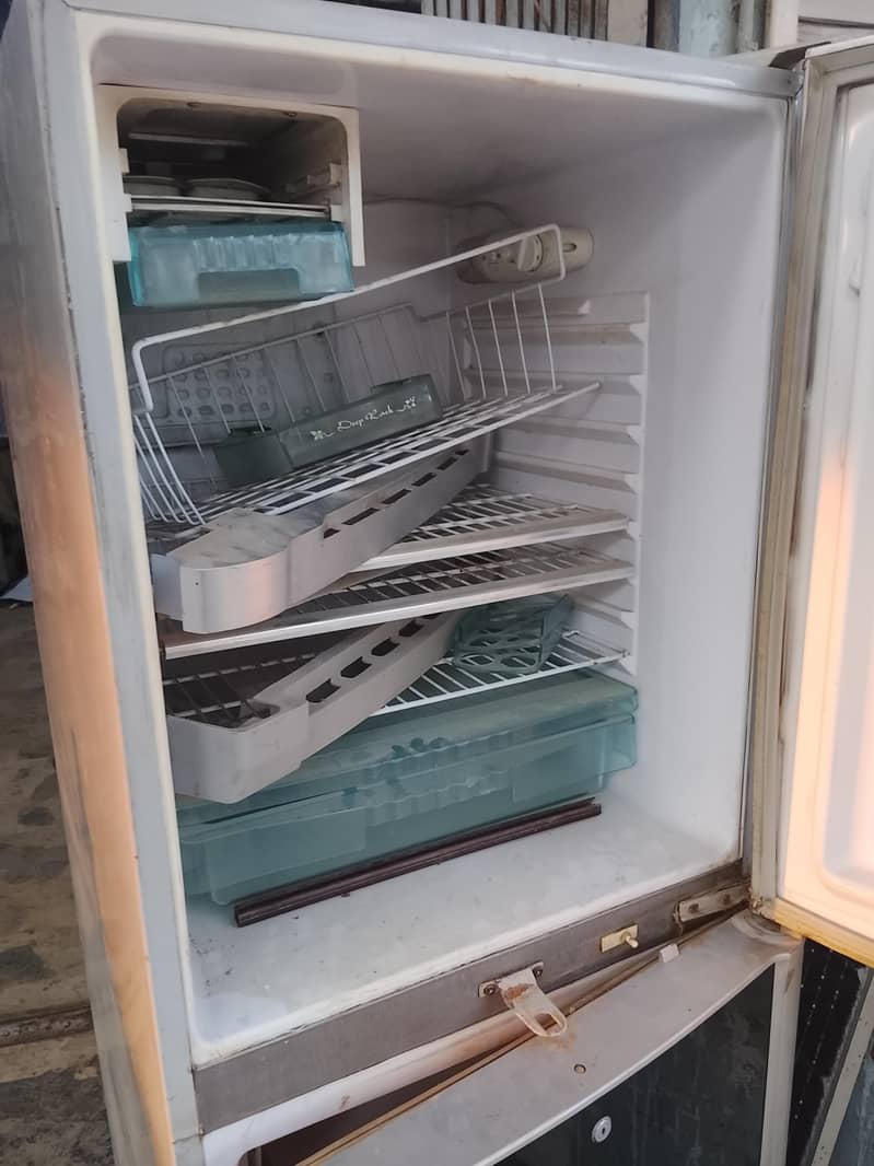 Waves Fridge 2