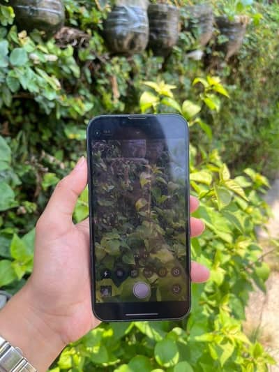 Apple iPhone 13 for sale or exchange