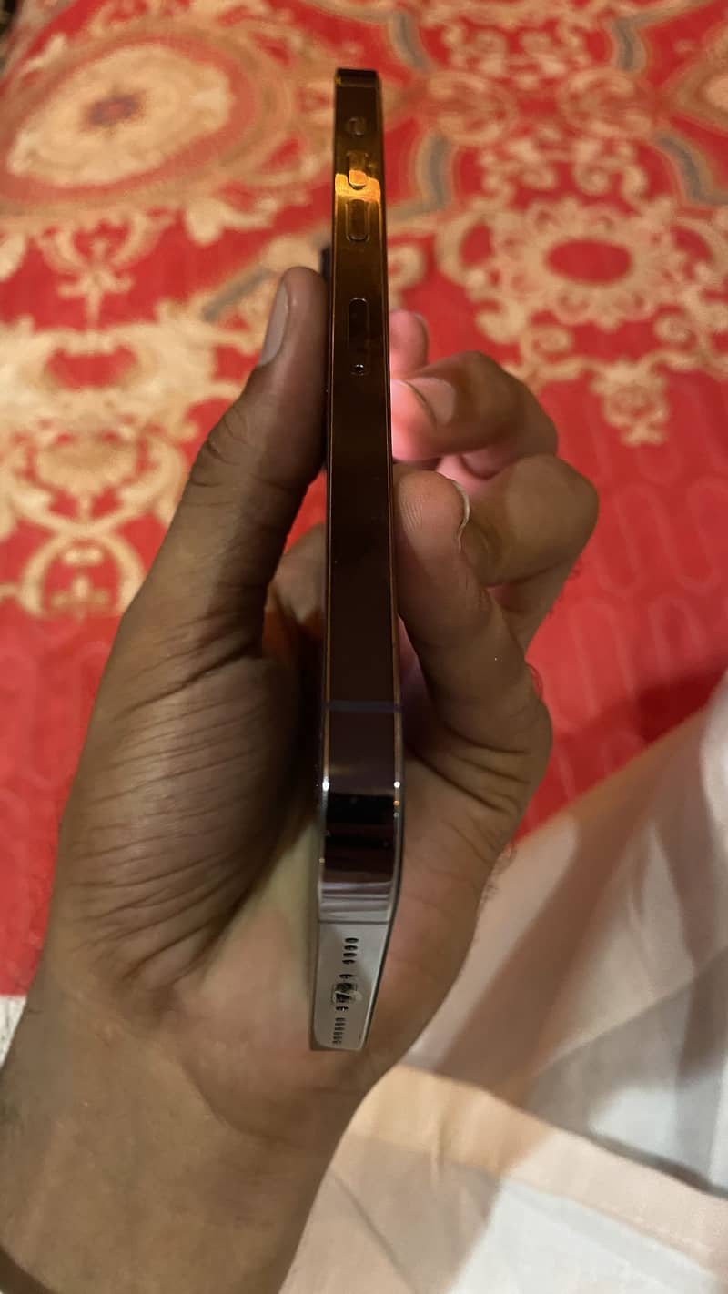 Apple iPhone 14 Pro Max 4