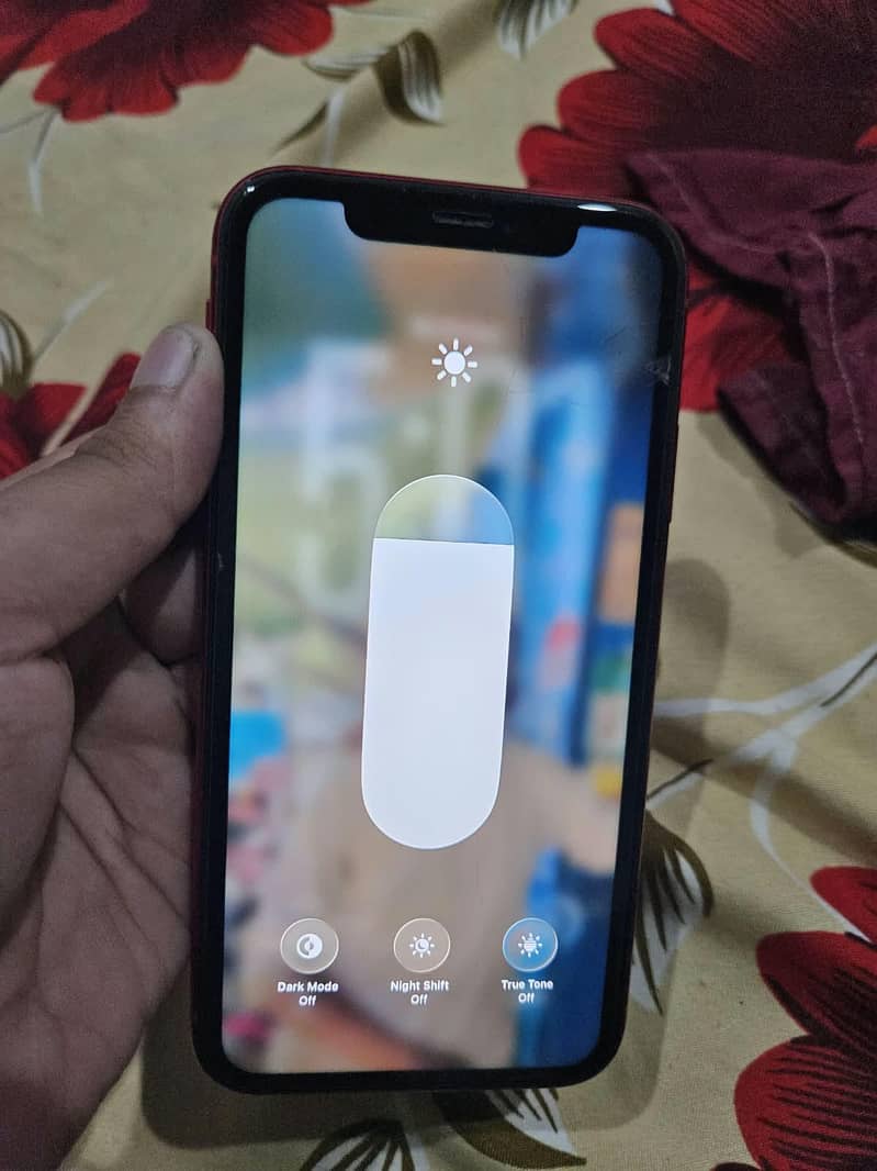 Apple iPhone 11 1