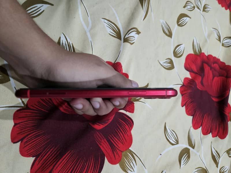 Apple iPhone 11 3